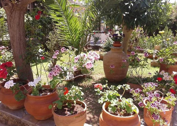 Ostria Maisonettes And Στούπα